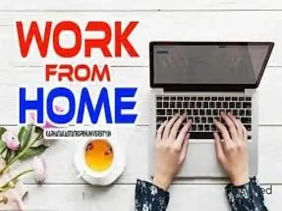 Data Filling Project for Typists | 7708244092