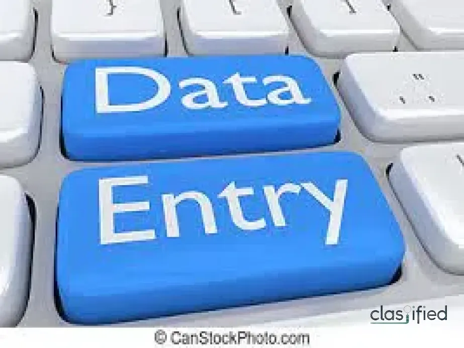 High-Paying Data Typing Work | Contact Us